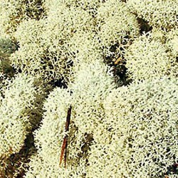 Mech HEKI 3212 30g.szary