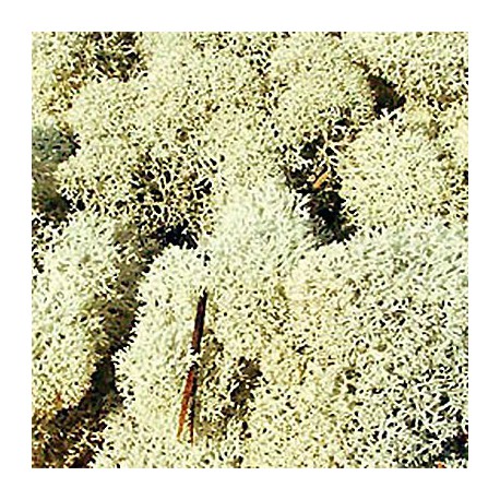 Mech HEKI 3212 30g.szary