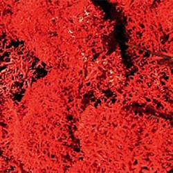 Mech HEKI 3213 30g.czerwony