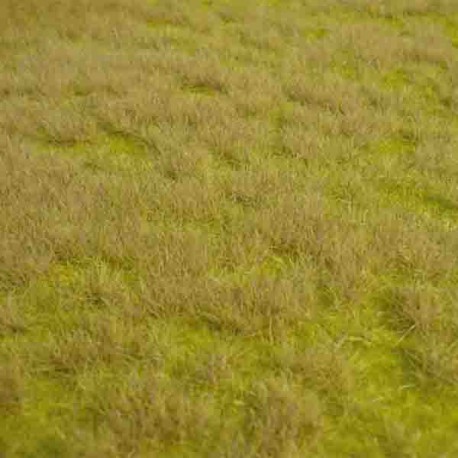 Dzika trawa HEKI 1840 mata 45x17cm sawannowa