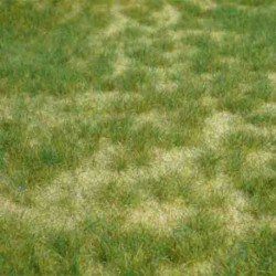 Dzika trawa HEKI 1842 mata 45x17cm letnia