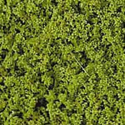 Granulat roślinny HEKI 1560 200g.jasna zieleń