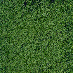 Mikrogranulat HEKI 1612 200g. ciema zieleń