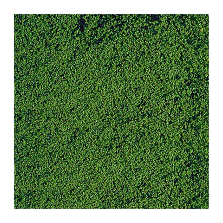 Mikrogranulat HEKI 1612 200g. ciema zieleń