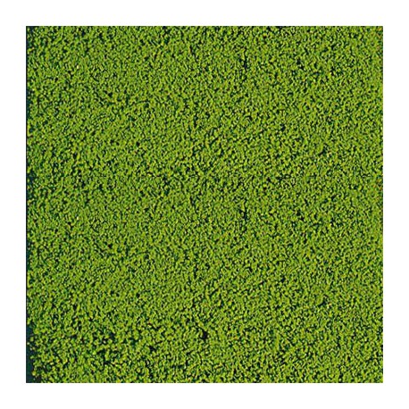 Mikrogranulat HEKI 1610 200g. jasna zieleń