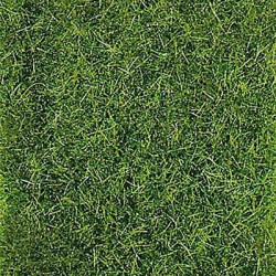 Runo HEKI 1578 mata 28x14cm trawa ciemnozielona