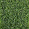 Runo HEKI 1578 mata 28x14cm trawa ciemnozielona