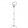 Lampa Daylight AURA Ring